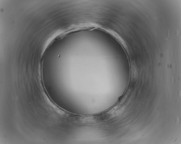 X0000076251006200610122200