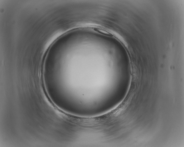 X0000076251007200610122200