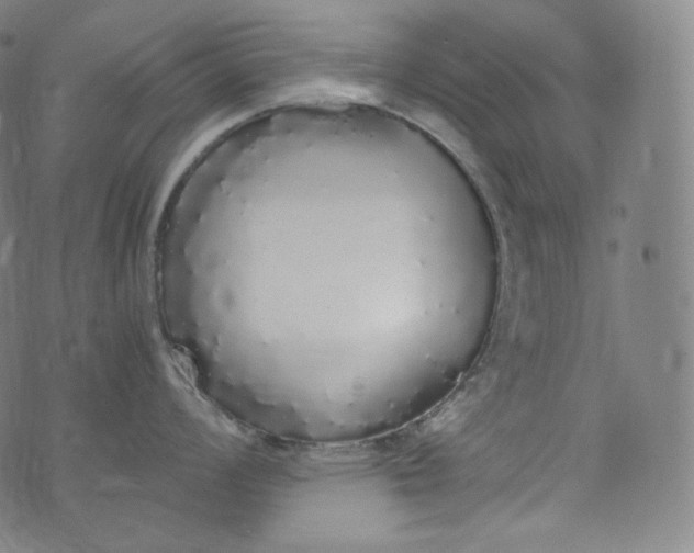 X0000076251008200610122200