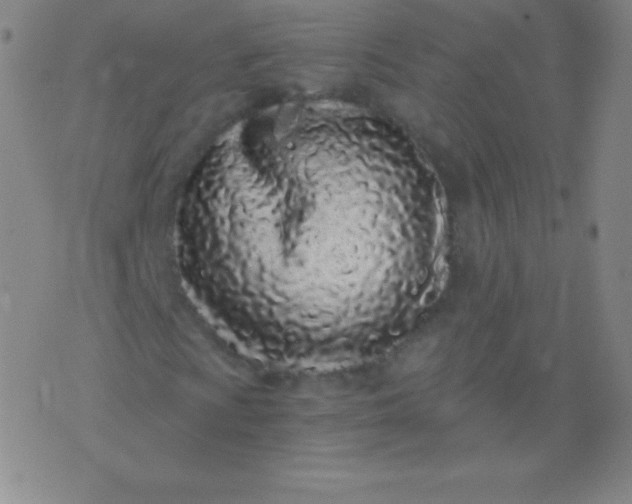 X0000076251009200610122200