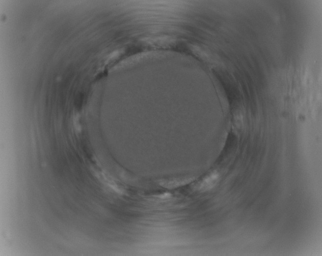 X0000076251010200610122200