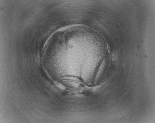 X0000076251011200610122200