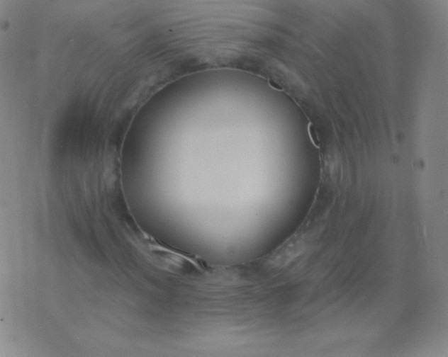 X0000076251012200610122200