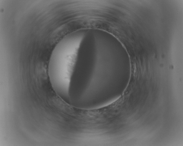 X0000076251013200610122200