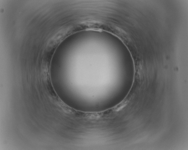 X0000076251014200610122200