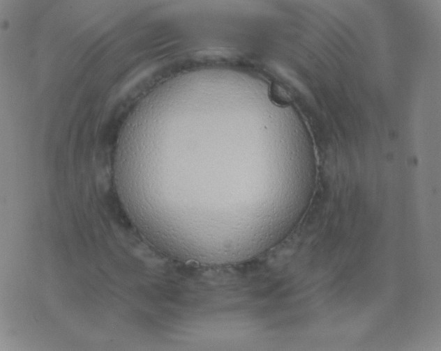 X0000076251015200610122200