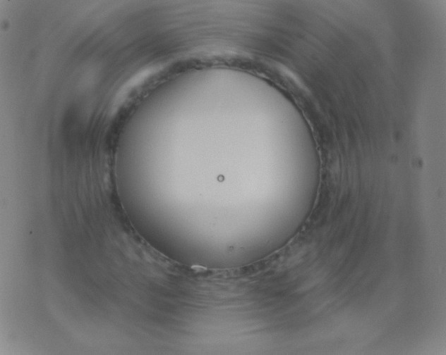 X0000076251016200610122200