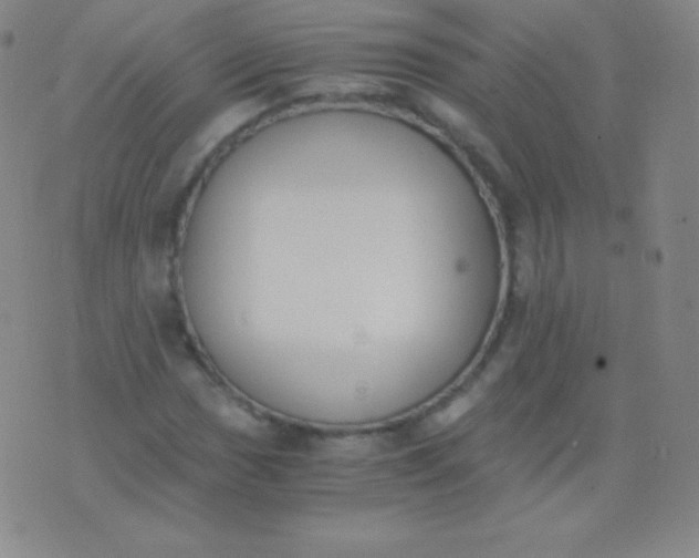 X0000076251017200610122200