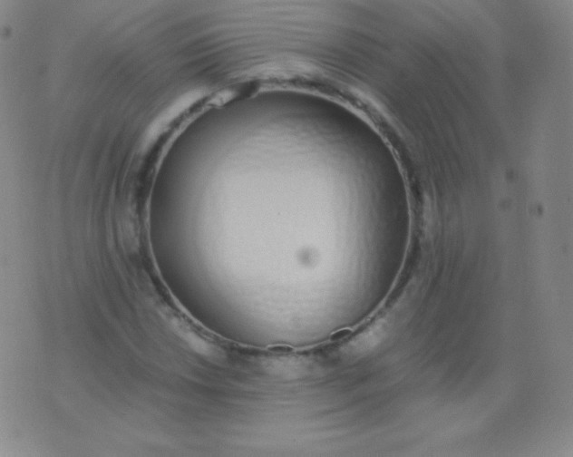 X0000076251018200610122200