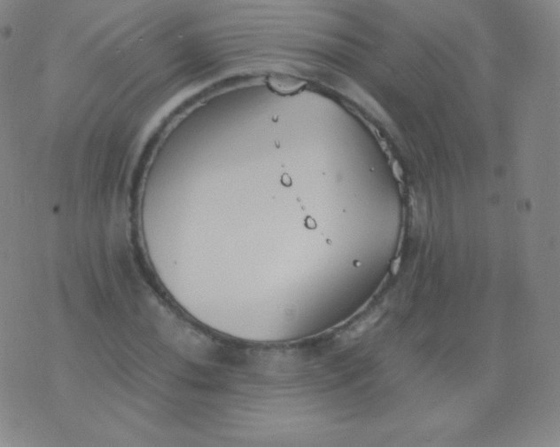 X0000076251020200610122200