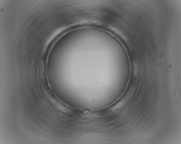 X0000076251021200610122200