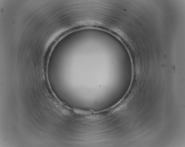 X0000076251022200610122200