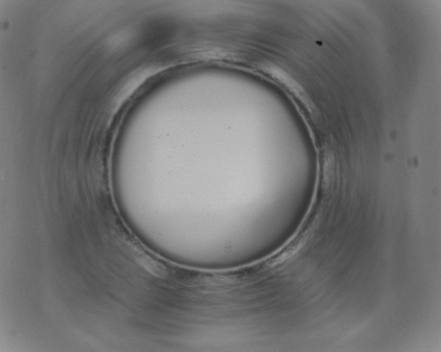 X0000076251023200610122200