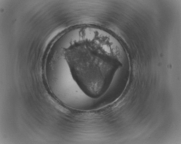 X0000076251024200610122200