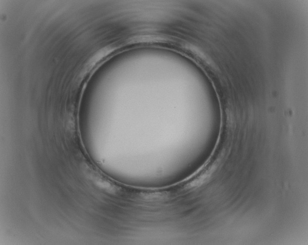 X0000076251025200610122200