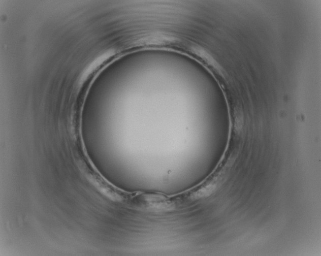 X0000076251026200610122200