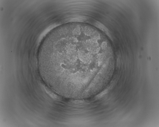 X0000076251027200610122200