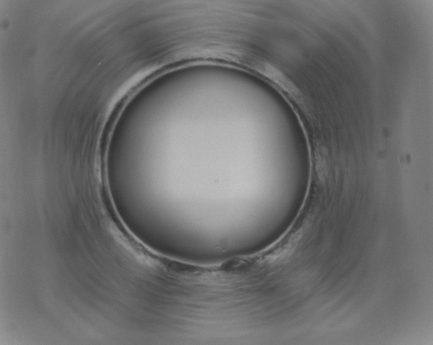 X0000076251028200610122200