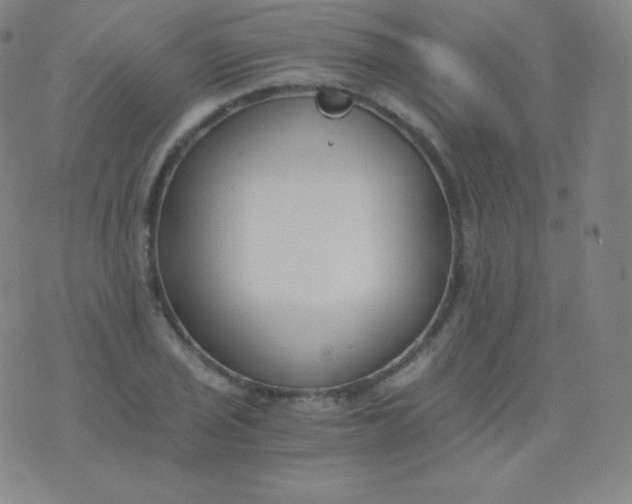 X0000076251029200610122200