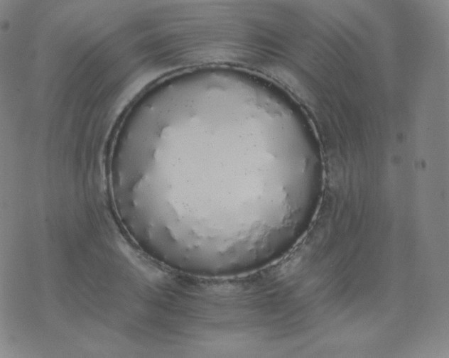 X0000076251031200610122200