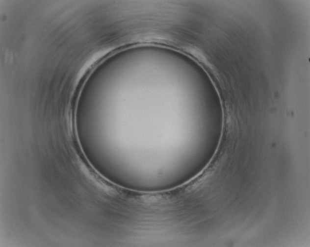 X0000076251032200610122200