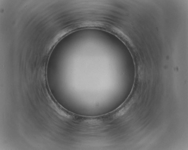 X0000076251033200610122200