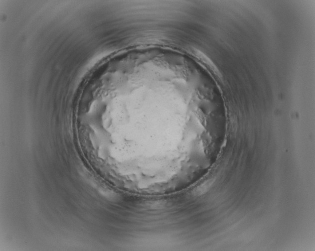 X0000076251035200610122200