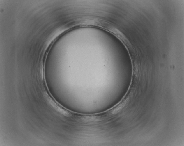 X0000076251036200610122200