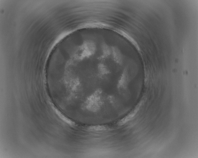 X0000076251037200610122200