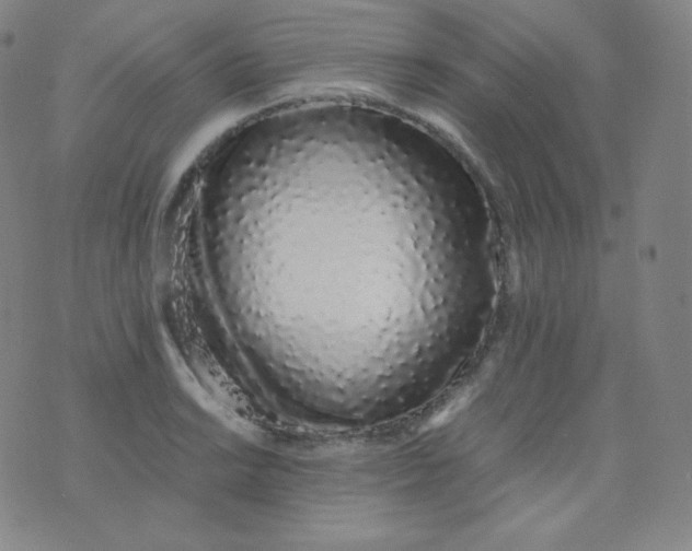 X0000076251038200610122200