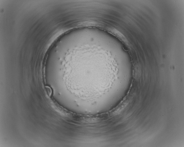 X0000076251039200610122200