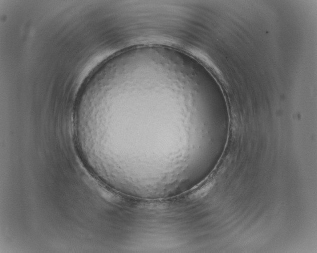 X0000076251040200610122200