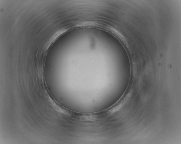 X0000076251041200610122200