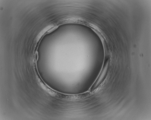 X0000076251042200610122200