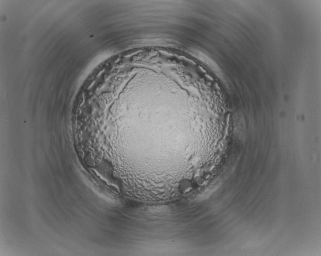 X0000076251043200610122200