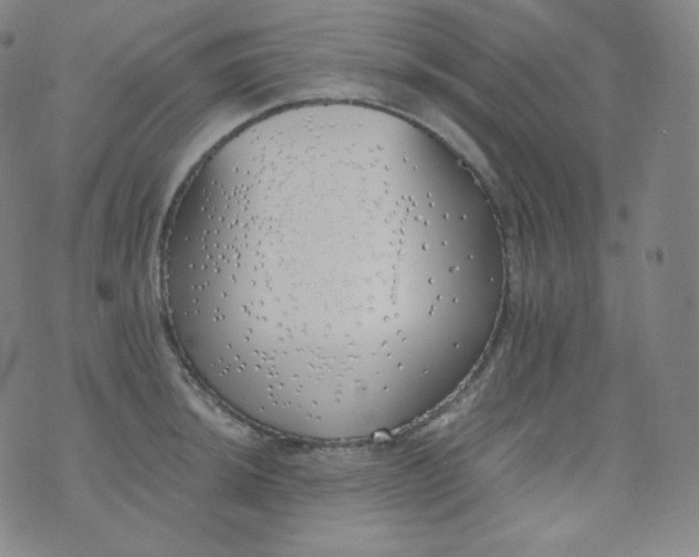 X0000076251044200610122200