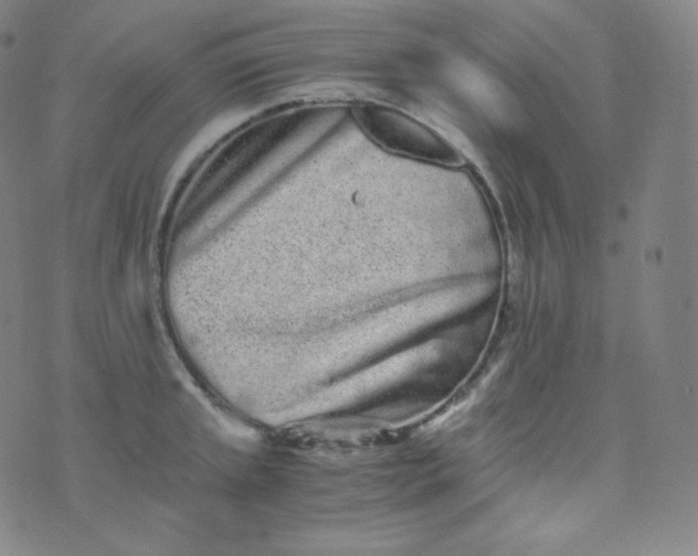 X0000076251045200610122200