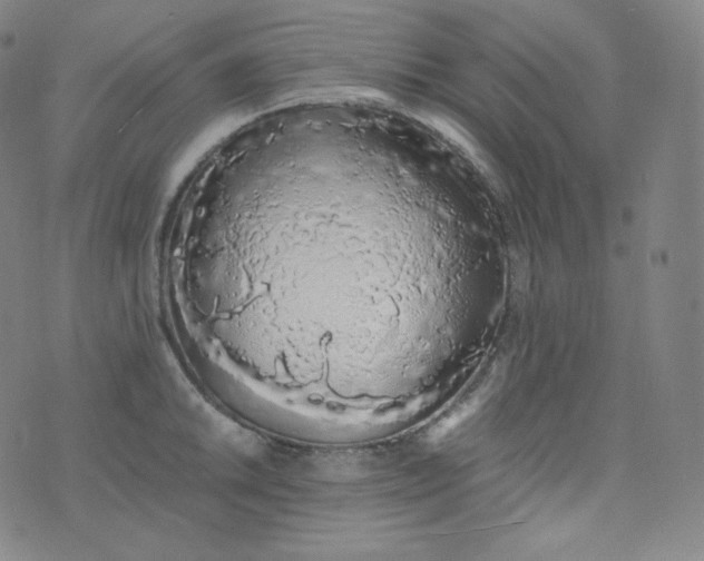 X0000076251046200610122200