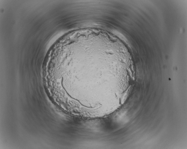 X0000076251047200610122200