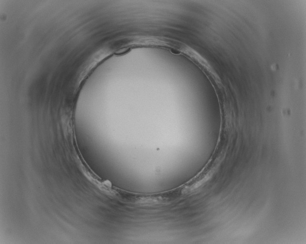 X0000076251049200610122200