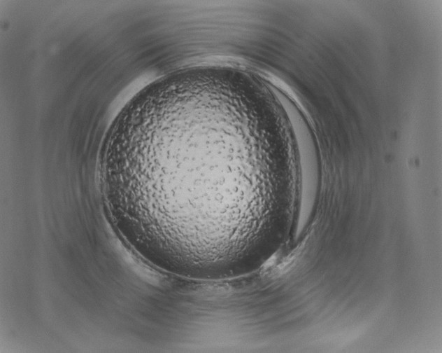 X0000076251050200610122200