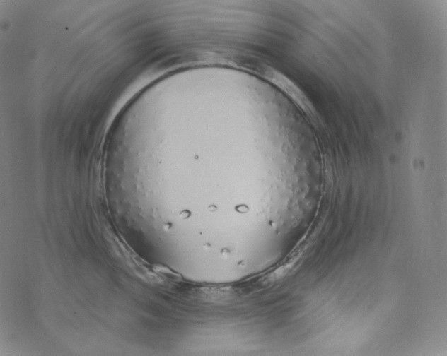 X0000076251052200610122200