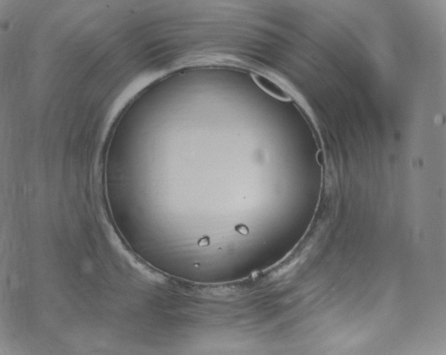 X0000076251053200610122200