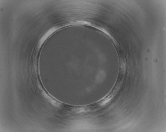 X0000076251054200610122200