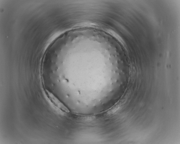 X0000076251055200610122200