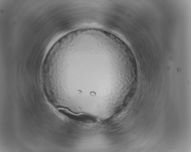 X0000076251056200610122200