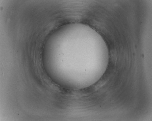 X0000076251057200610122200