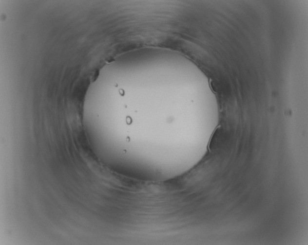 X0000076251058200610122200