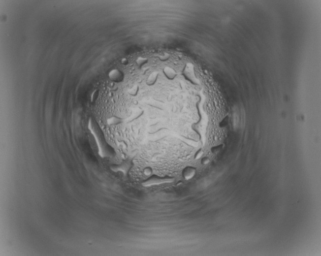 X0000076251059200610122200