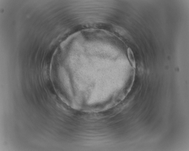 X0000076251060200610122200